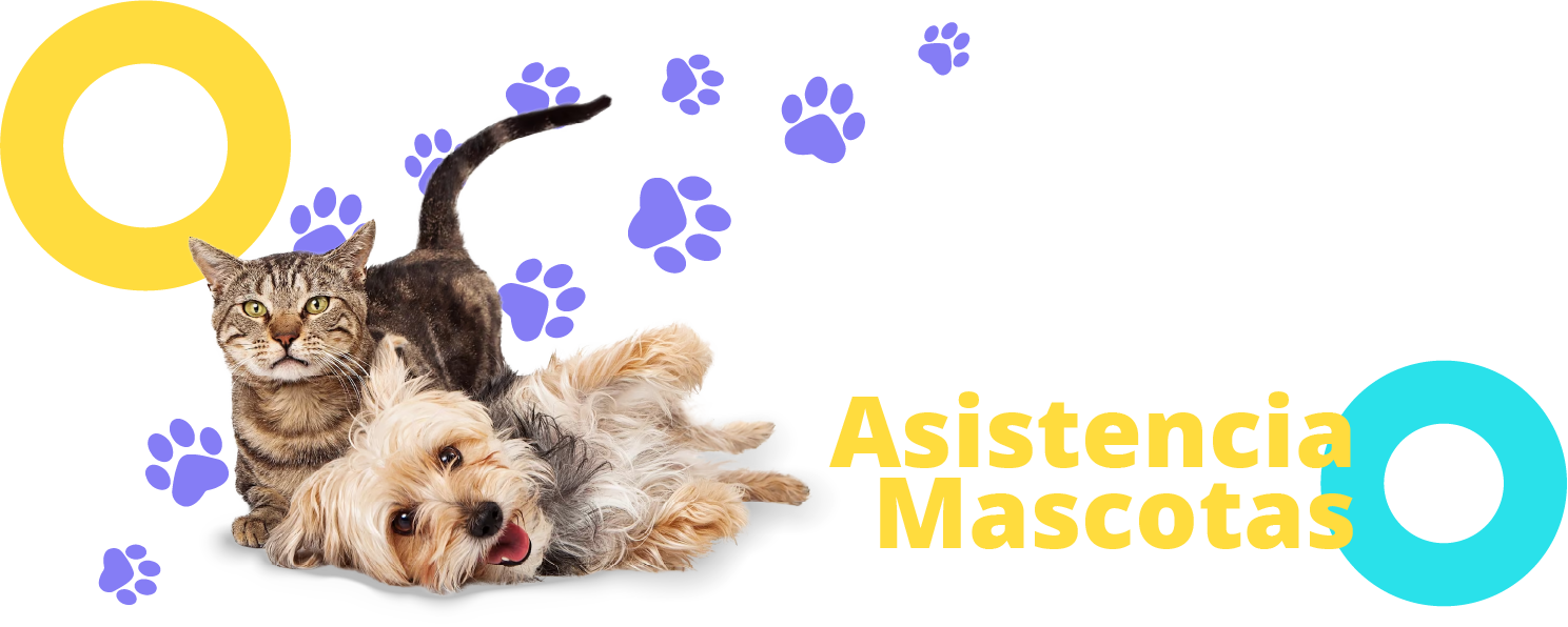 bn HEBMesa de trabajo 13