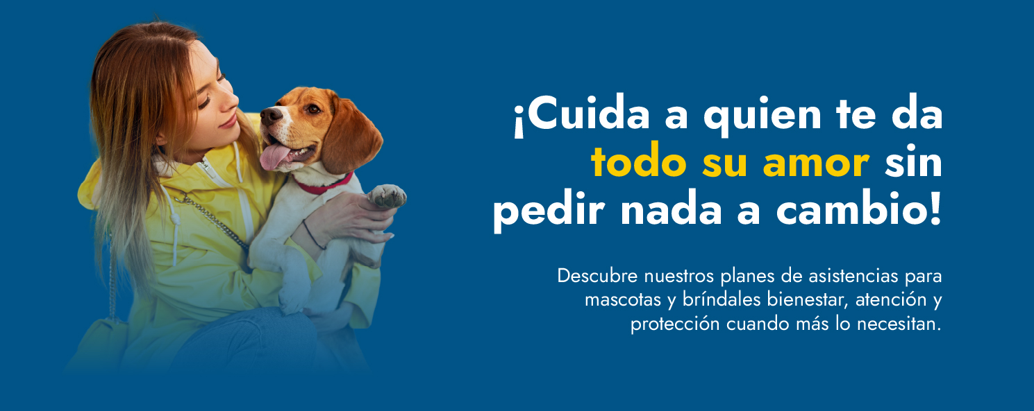 SU header 01