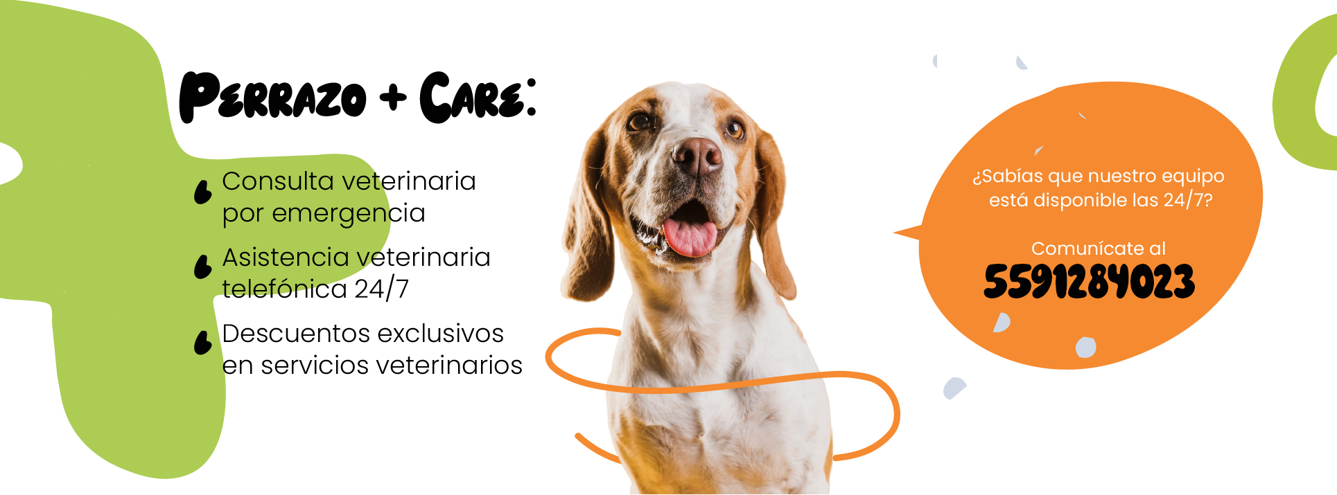 Banner-perrazo-03