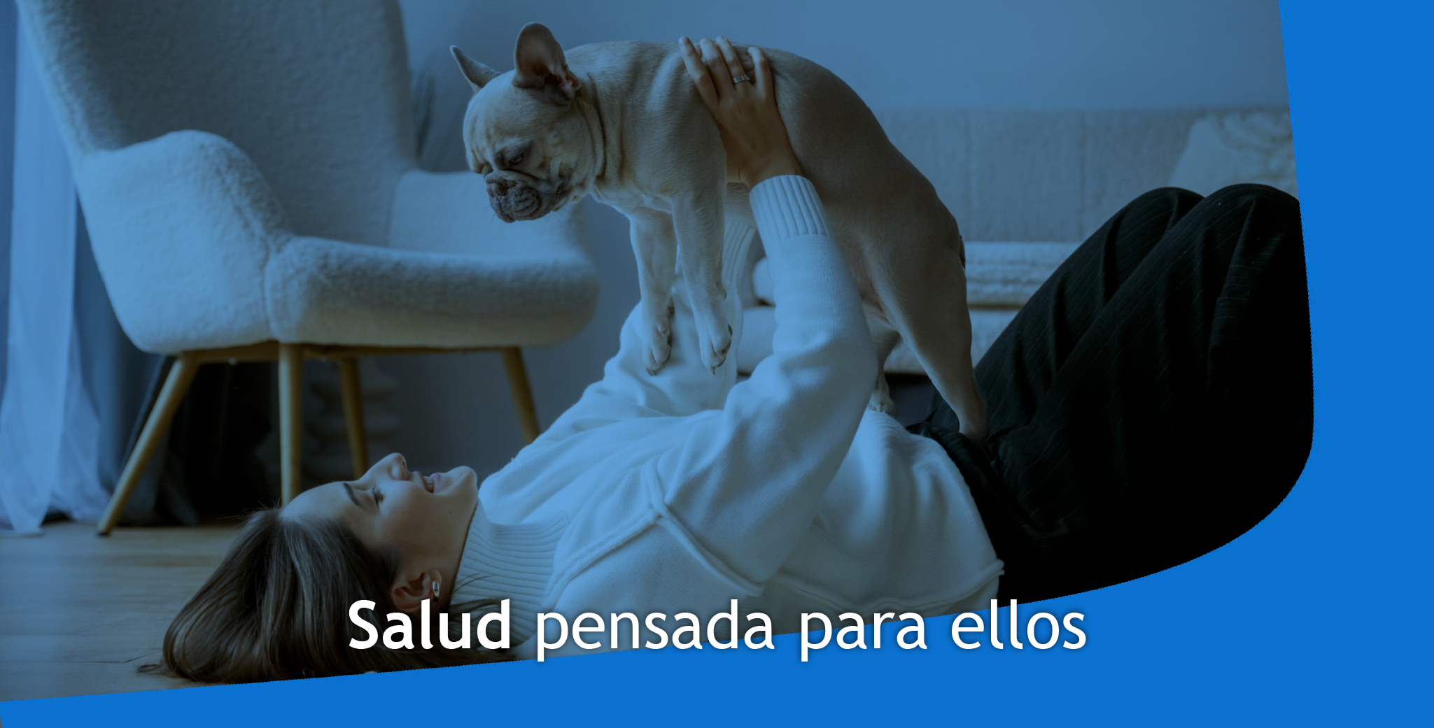 IMG_Mujer_hogar_juego_mascota_saludsa